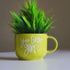 You Grow Girl  | Ceramic Wall Planter | Table Accessory | Personalised Gift | Home Decor